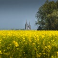 Field of rapeseed with the cathedral and the abbey of Saint-Jean-des-Vignes de Soissons Royalty Free Stock Photo