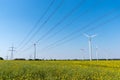 Field of rapeseed with high-voltage lines and wind turbines Royalty Free Stock Photo