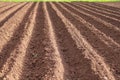 The field is ready for sowing potatoes, agriculture, rural area Royalty Free Stock Photo