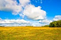 Field of reaped rye near Tarusa town, Russia Royalty Free Stock Photo