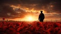 Field of red poppies on Armistice Day, a solemn and reflective scene with a single soldier silhouetted against the morning sky Royalty Free Stock Photo