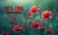 Field of red poppies with remembrance day text. Royalty Free Stock Photo