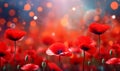 Field of red poppy wild flowers in the morning warm light, generative AI Royalty Free Stock Photo