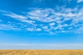 Field with removed harvested crop under the blue sky at sunny autumn day