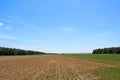 Field rests in summer Royalty Free Stock Photo