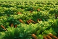 Field with a ripe carrot broccoli realistic harvest illustration Generative Ai
