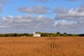 Field of ripe soybeans and a white church