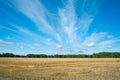 Field of ripened wheat under the sky