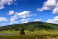 Field, river, trees on hills against blue sky with white clouds. Summer panormama river field against a blue sky