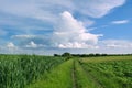 Field road on a beautiful day Royalty Free Stock Photo