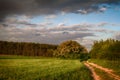 Field road and dark sky Royalty Free Stock Photo