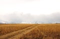 A field road going through the autumn steppe to a snow-covered mountain ridge, the peaks of which are in the clouds Royalty Free Stock Photo