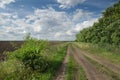 Field road among the greenery