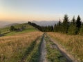 Field road on the mountain near the forest. Carpathian mountains in a summer evening, view into the distance. Mountain range at Royalty Free Stock Photo