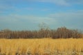 Field in Rocky Mountain Arsenal NWR