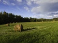 Field with roll hay bales lit by evening sun and dramatic clouds in sky in summer Royalty Free Stock Photo