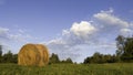 Field with roll hay bales lit by evening sun and dramatic clouds in sky in summer Royalty Free Stock Photo