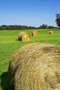 Field and rolls Royalty Free Stock Photo