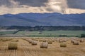 Field in Romania