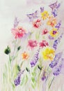 Field of roses and lupines with butterflies.