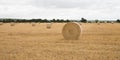 field with Round bales of straw boots Royalty Free Stock Photo