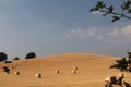 Hay bales in a field on hay hill with blue sky and cloud on a summers evening in UK Royalty Free Stock Photo