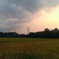 Field in rural india Royalty Free Stock Photo