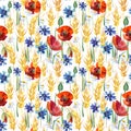 Field rye seamless pattern. wheat hand drawn watercolor illustration.