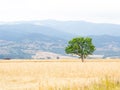 Field in Sapareva Banya, Bulgaria Royalty Free Stock Photo