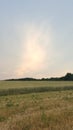 Field Sky Nature cereals lightplay Royalty Free Stock Photo