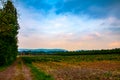 The field in the small city of Bad Oeynhausen Royalty Free Stock Photo