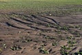 Field soil erosion Royalty Free Stock Photo