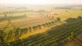 The field soil reclamation in preparation for seeding or planting Royalty Free Stock Photo