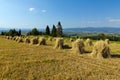 Field with some bundles of hay on blue sky background