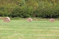 Field with some bundles of hay in the summer, harvest. Royalty Free Stock Photo