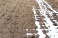 Field for sowing agricultural crops. It\'s snowing early. Snow and ice lies in the field. Royalty Free Stock Photo