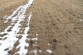 Field for sowing agricultural crops. It\'s snowing early. Snow and ice lies in the field. Royalty Free Stock Photo