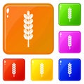 Field spike icons set vector color