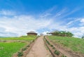 Field of spring flowers, cottage and perfect sky Royalty Free Stock Photo