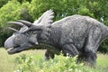 Field Station: Dinosaurs in Leonia, New Jersey