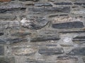 Field stone and mortar background