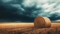 In a field, a straw bale is captured in close-up, set against a dramatic sky with soft sunlight Royalty Free Stock Photo