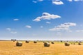 Field of straw bales