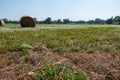 A field with straw bales after harvest on a summer sunny day. Royalty Free Stock Photo