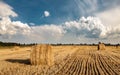 A field of straw bales