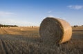 Field and straw bales