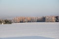 Field of straw bales in winter and frosted forest in background Royalty Free Stock Photo