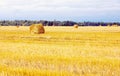 Field with straw sheaves after a crop harvest Royalty Free Stock Photo