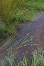 Field stream