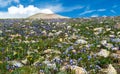 Field of Summer Wildflowers